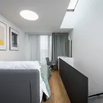 Fully Renovated Stylish Duplex In A Convenient Location * Prága